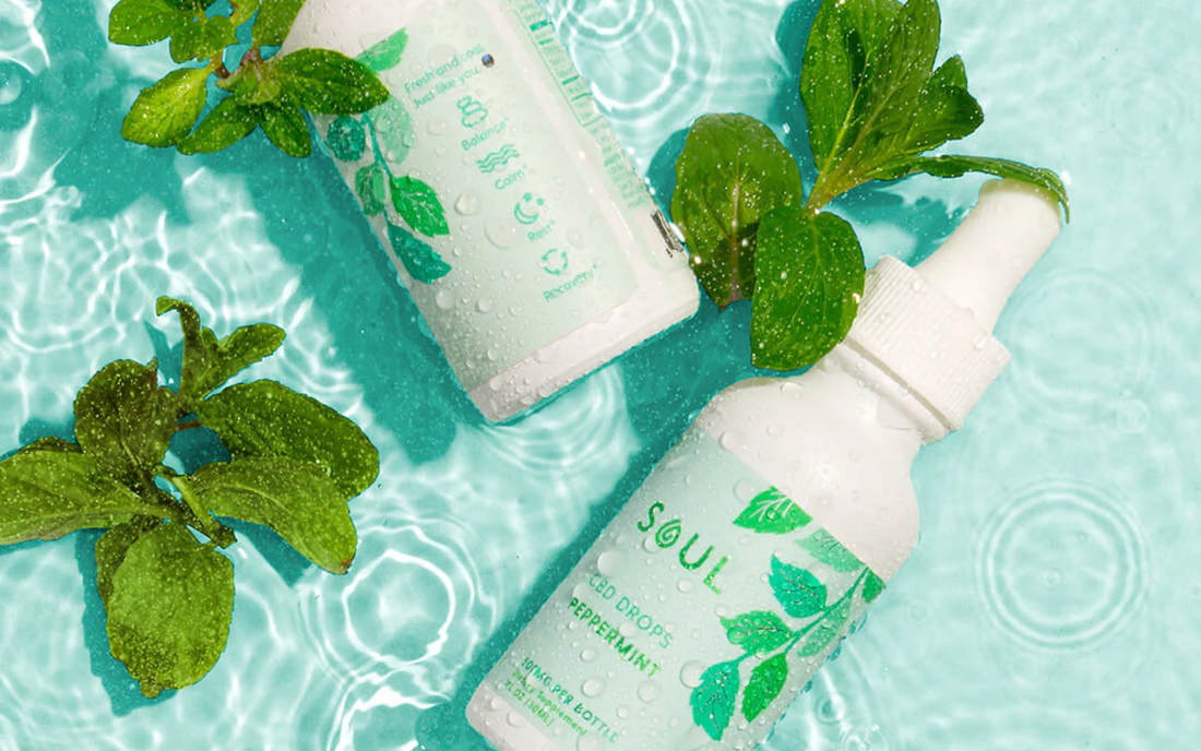 angled top-down view of Soul CBD Drops Peppermint bottle showcasing dropper cap and label with turquoise water and mint leaves background