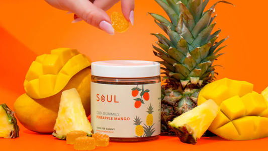 Front view of Soul CBD Pineapple Mango gummies jar showing label and gummies with fresh pineapple and mango on orange background