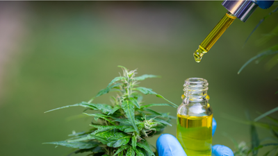 Can CBD Oil Help With Digestion?