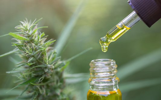 CBD Oil vs Gabapentin: Which Is More Effective for Nerve Pain?