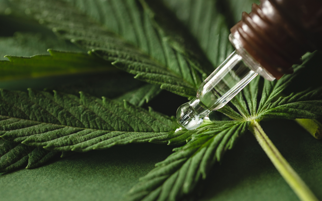 Hemp Extract vs CBD: What’s the Difference?