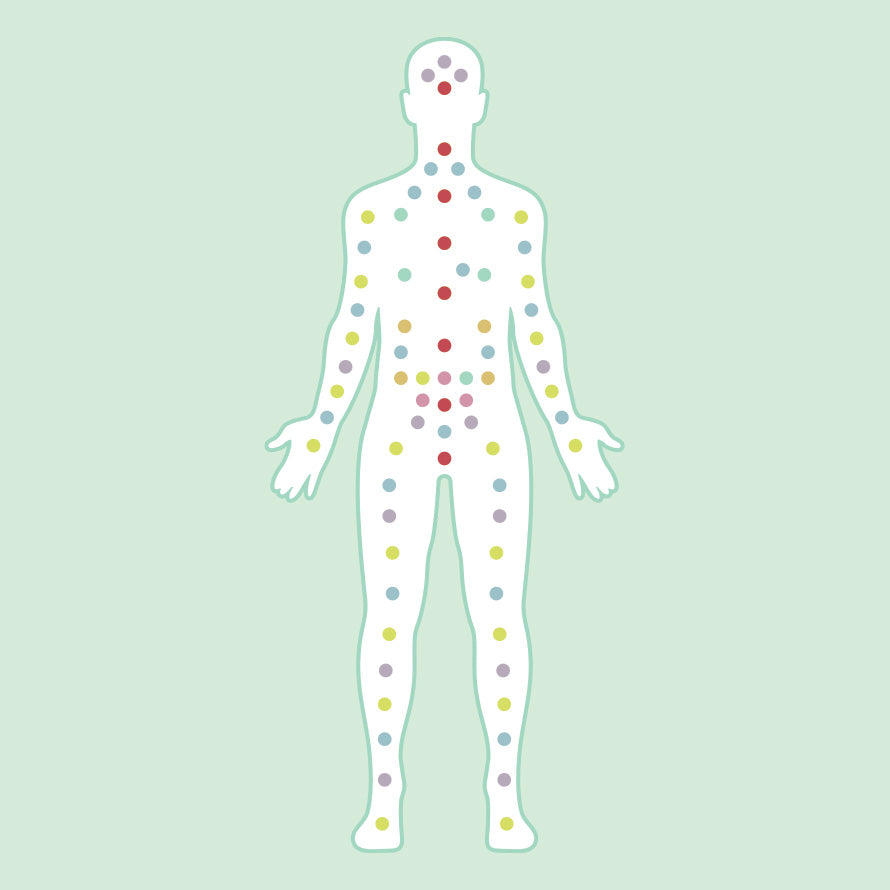 An Introduction To Your Endocannabinoid System & CBD