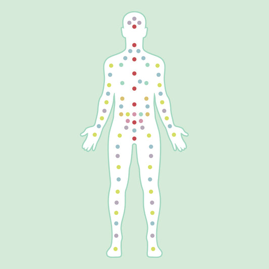 An Introduction To Your Endocannabinoid System & CBD