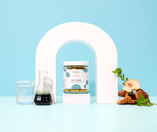 Healing an Imbalanced Gut Microbiome by Dr. Jess