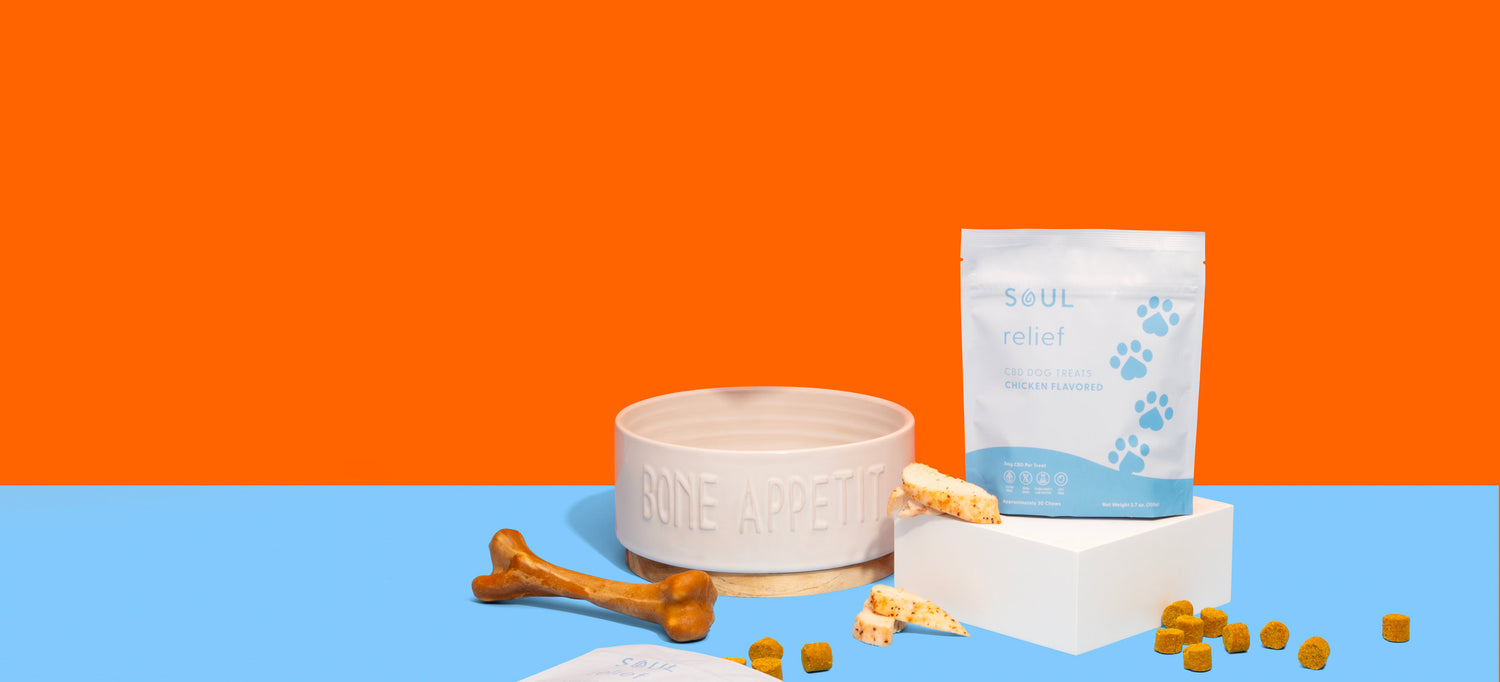 Pet CBD