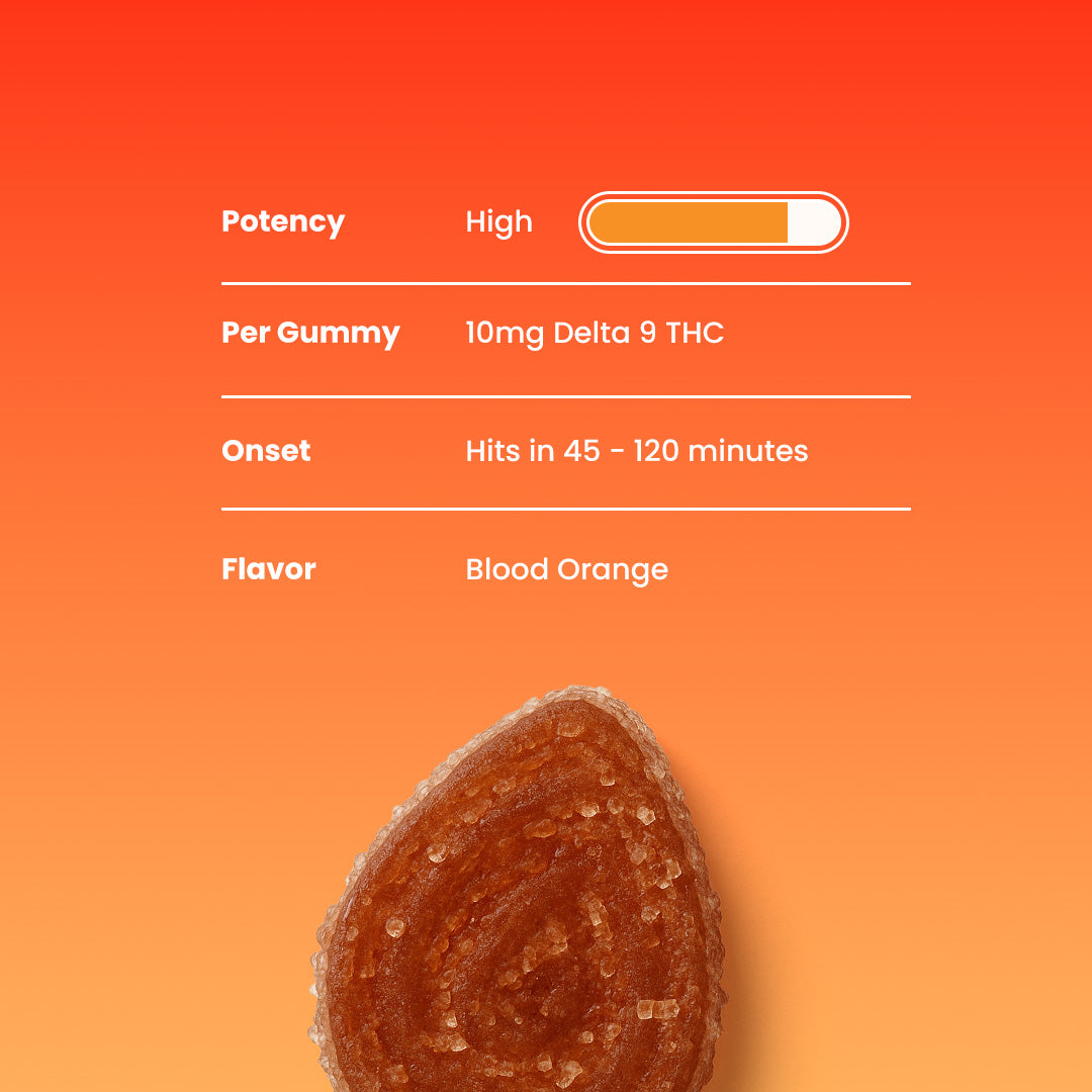 Out of Office THC Gummies