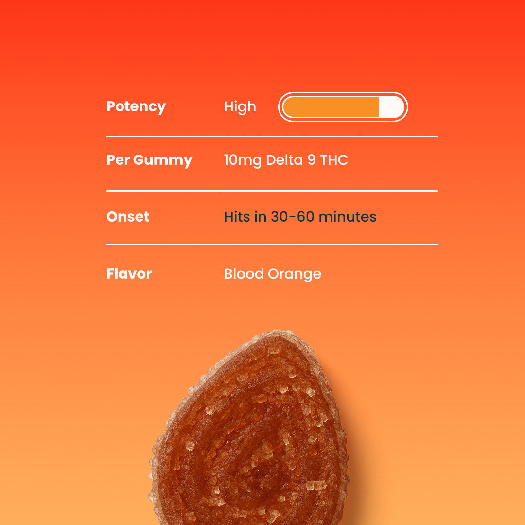 Out of Office High Dose THC Gummies