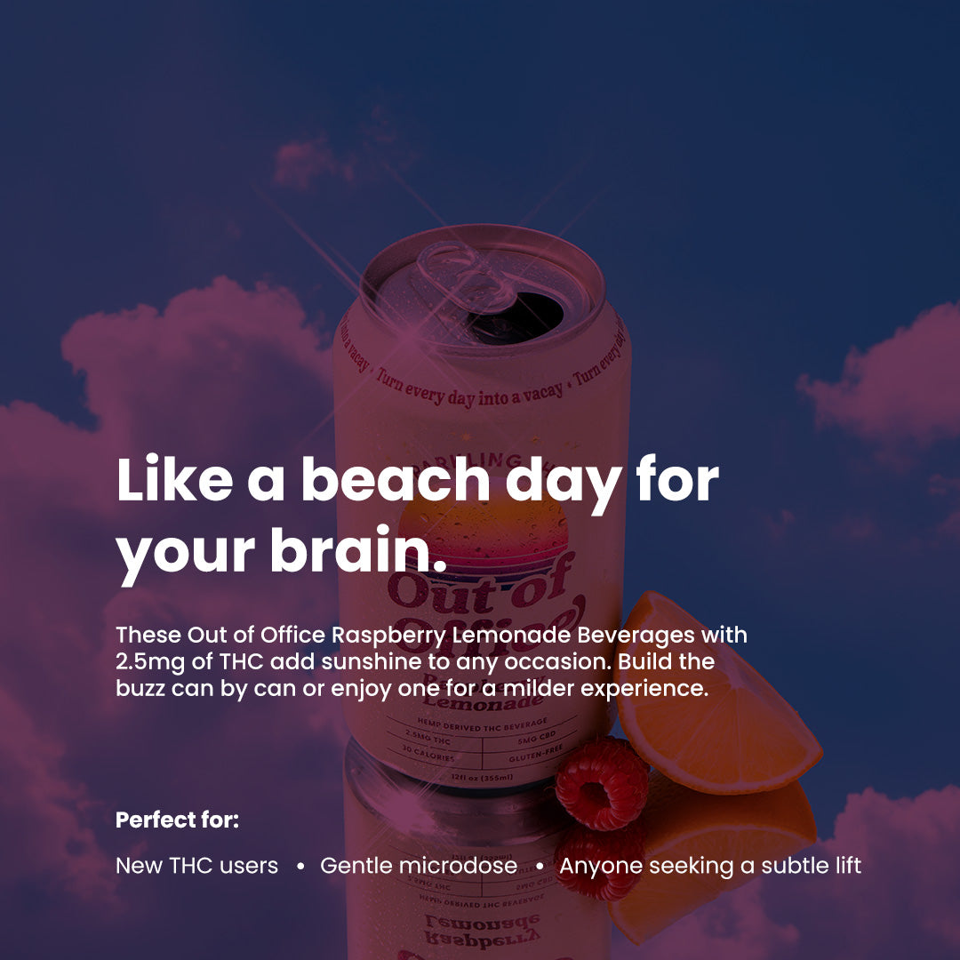 raspberry-lemonade-single-6 raspberry-lemonade-single-12 raspberry-lemonade-single-24 