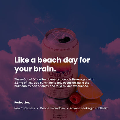 raspberry-lemonade-single-6 raspberry-lemonade-single-12 raspberry-lemonade-single-24 