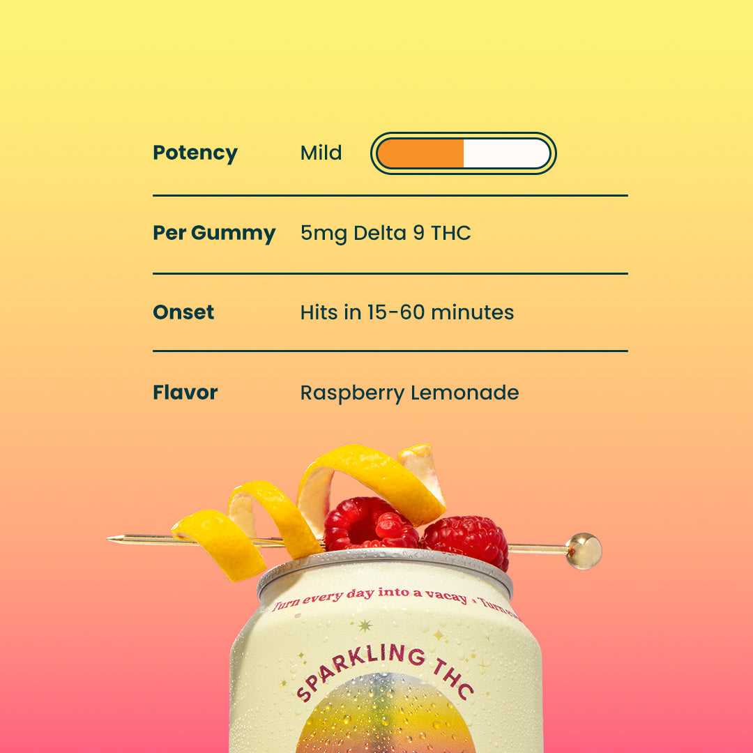 raspberry-lemonade-double-6 raspberry-lemonade-double-12 raspberry-lemonade-double-24 