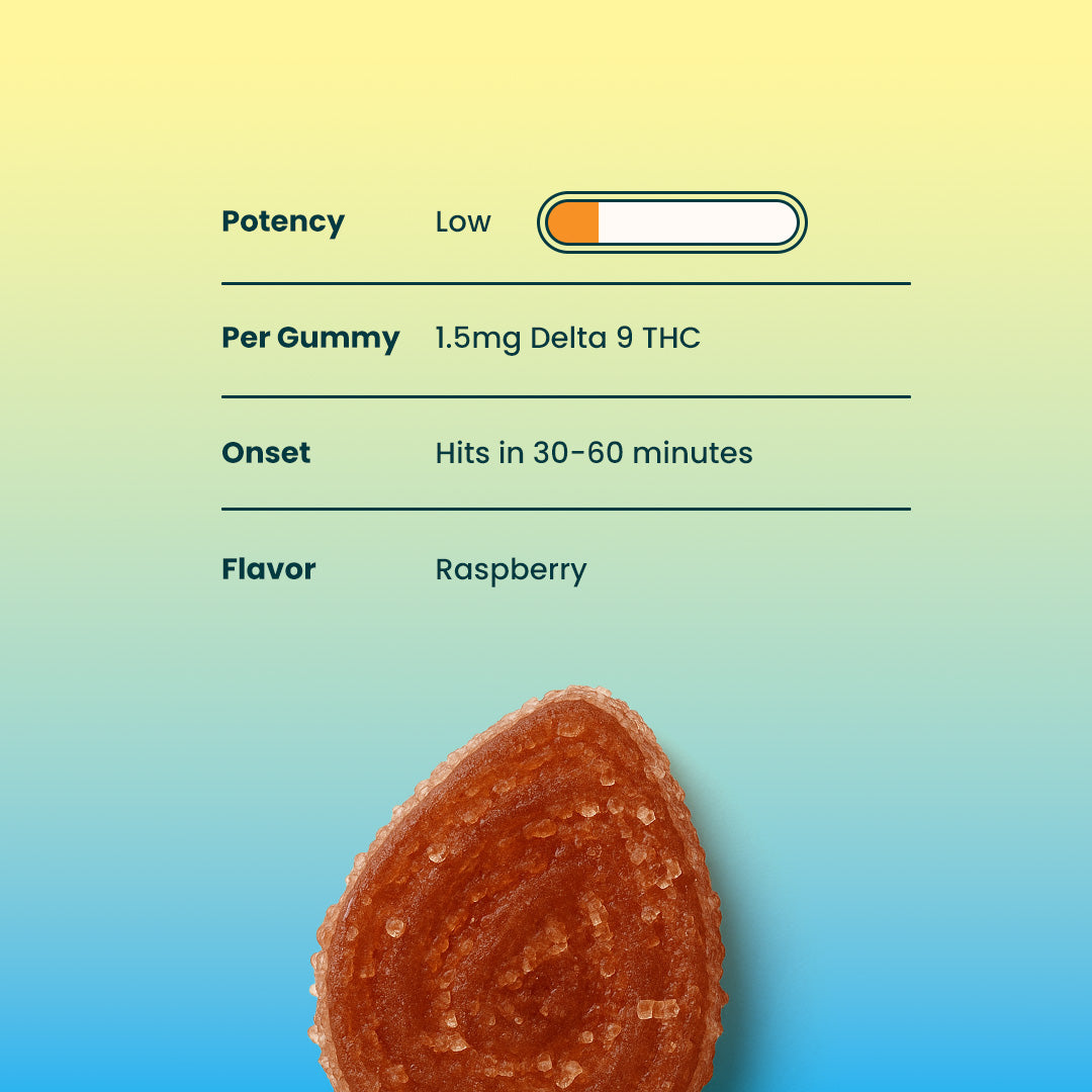 Out of Office THC Gummies