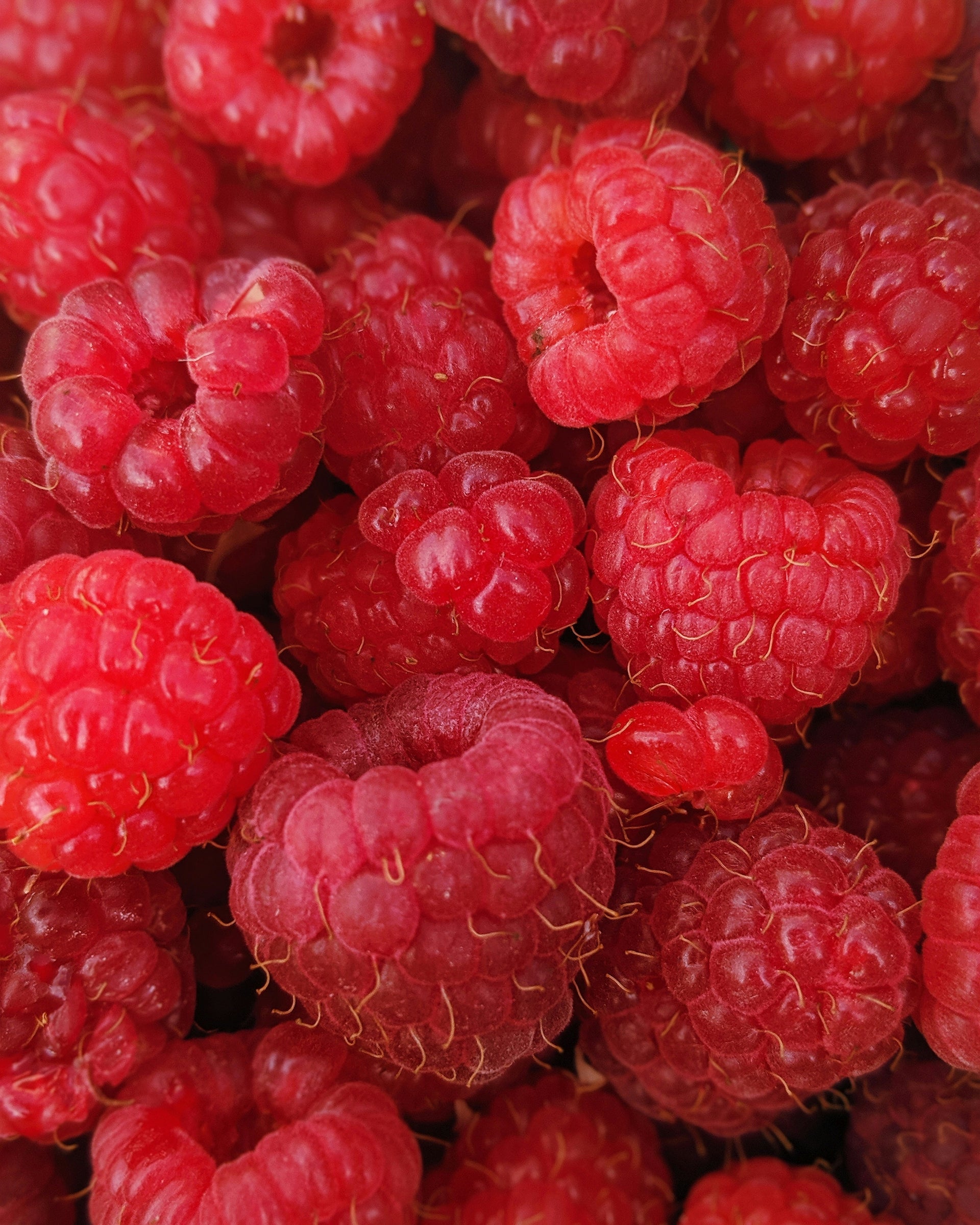 Sliced raspberries (out of focus)