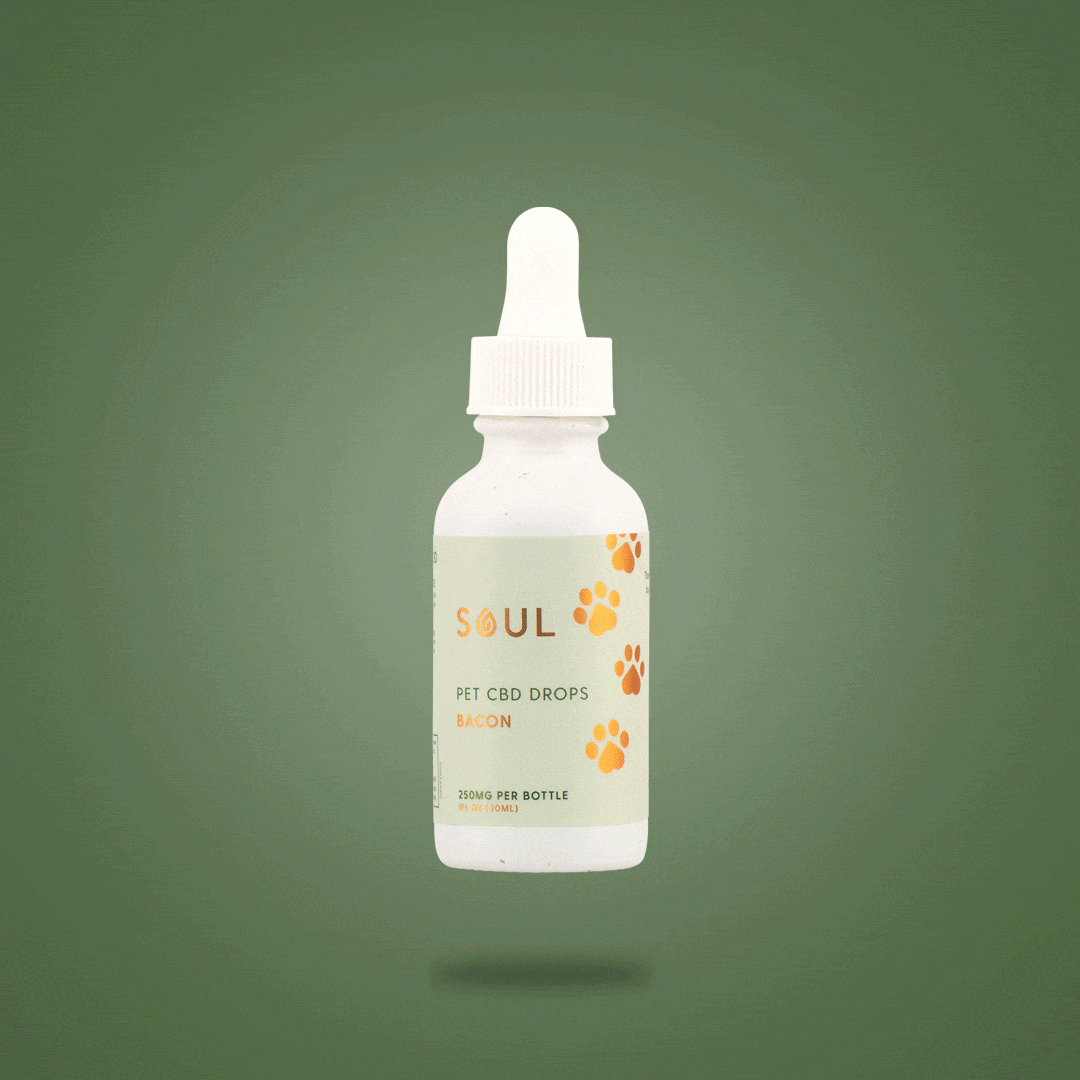 Soul Pet CBD Oil