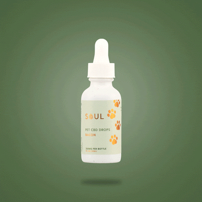 Soul Pet CBD Oil