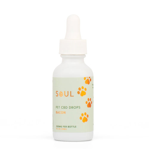 CBD Oil for Pets